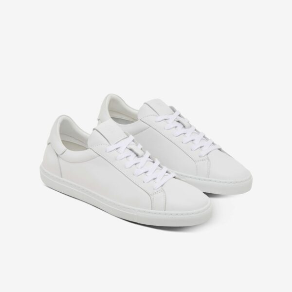 The Reign - Blanco - Image 2